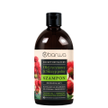 BARWA RECEPTURY NATURY Regenerating Shampoo Castor Oil + Horsetail 380 ml