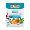HERBAPOL BIG ACTIVE Relax - Peace tea 20 bags