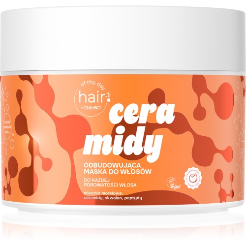 OnlyBio HAIR OF THE DAY Ceramides - Restorative hair mask 280ml