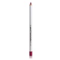 PAESE LIP LINER NR.12 2G