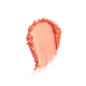 PAESE MINERALS Mineral blush 301N DUSTY ROSE
